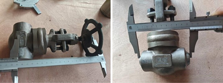 Forged Steel Globe Valve