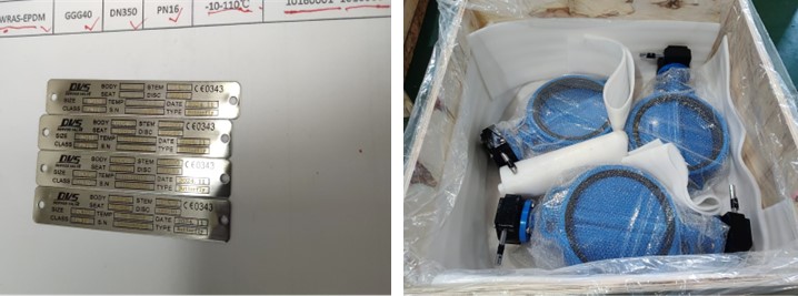 Concentric Butterfly Valve