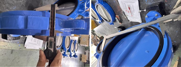 Concentric Butterfly Valve