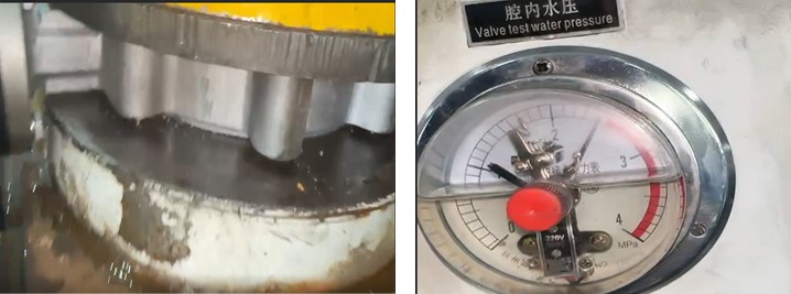 Concentric Butterfly Valve
