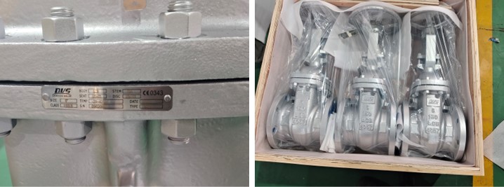 Cast Steel Gate Valve