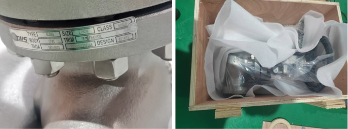 Stainless Steel Globe Valve