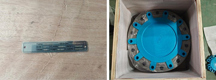 Wafer Check Valve