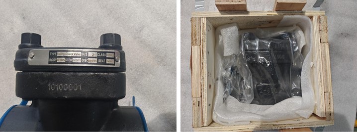 Swing Check Valve