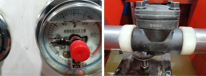 Swing Check Valve