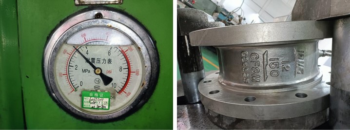 Dual Plate Wafer Type Check Valve
