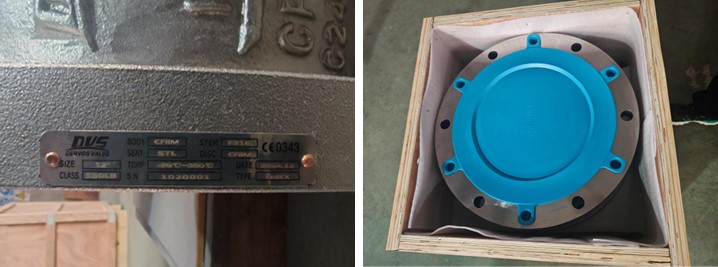 Dual Plate Wafer Type Check Valve
