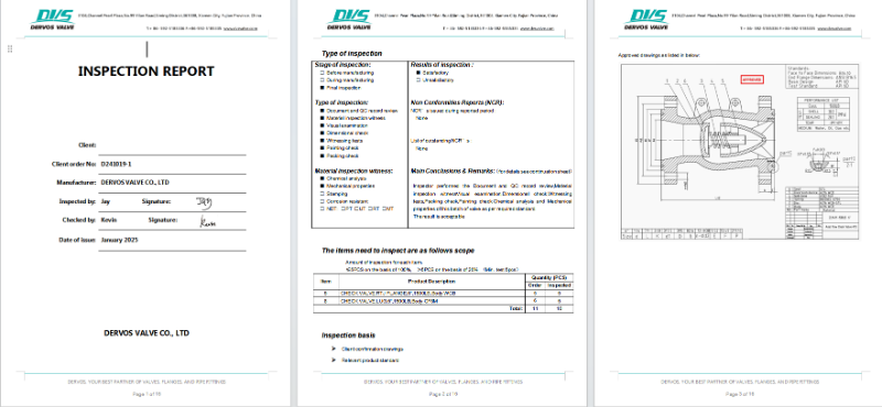 Axial Flow Check Valve
