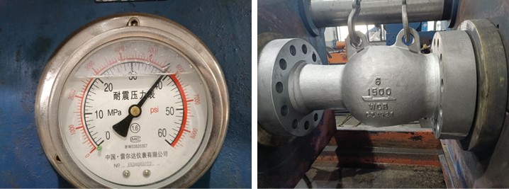 Axial Flow Check Valve