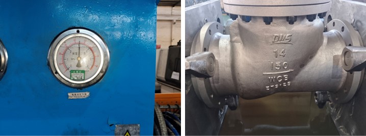Swing Check Valve