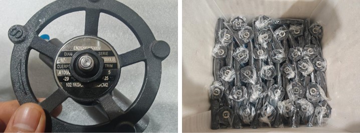 Forged Steel Gate Valve