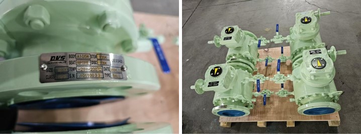 Forged Trunnion Ball Valve