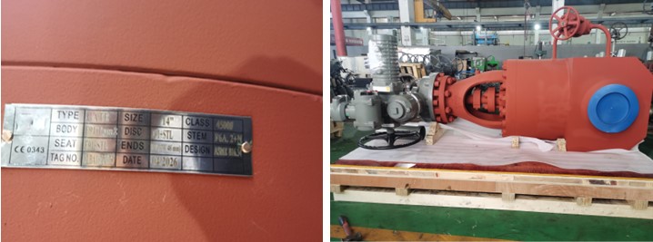 Pressure Seal Gate Valve