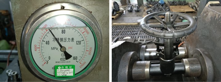 Pressure Seal Gate Valve
