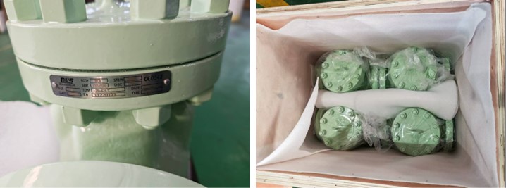 Swing Check Valve