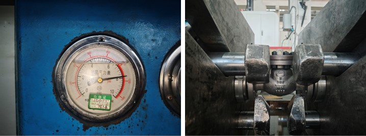 Swing Check Valve