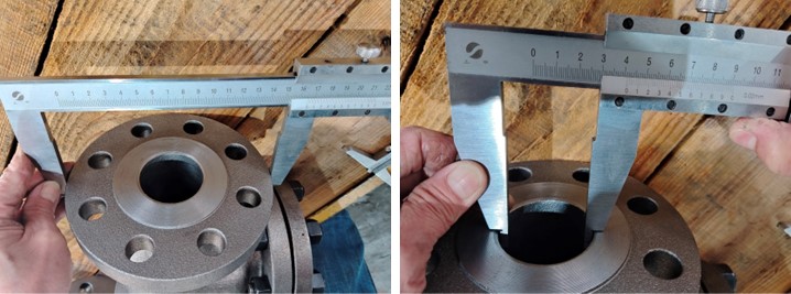 Swing Check Valve