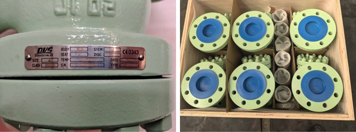 Y Type Strainer
