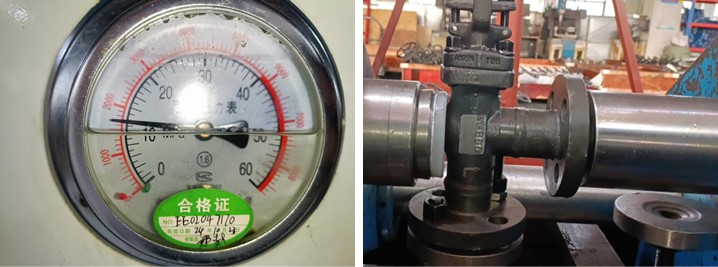 Continuous Blowdown Globe Valve