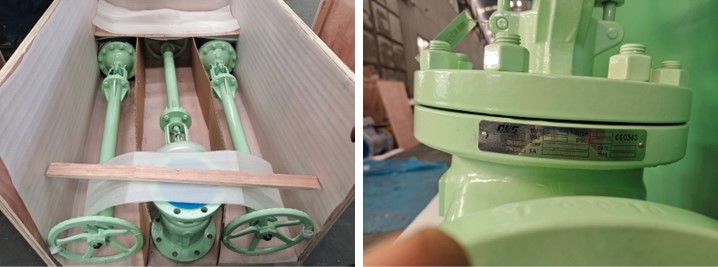 Cast Steel Gate Valve