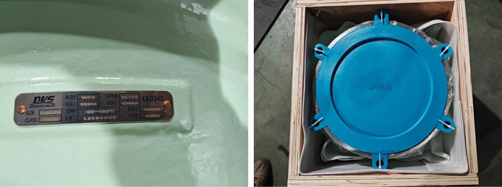 Dual Plate Check Valve