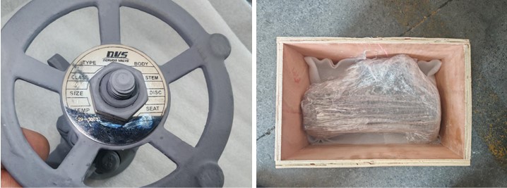 Continuous Blowdown Globe Valve