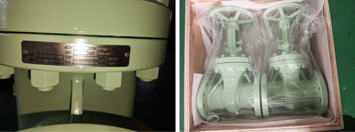 Cast Steel Gate Valve