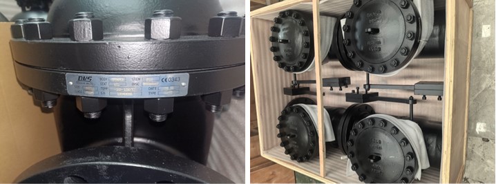 Swing Check Valve
