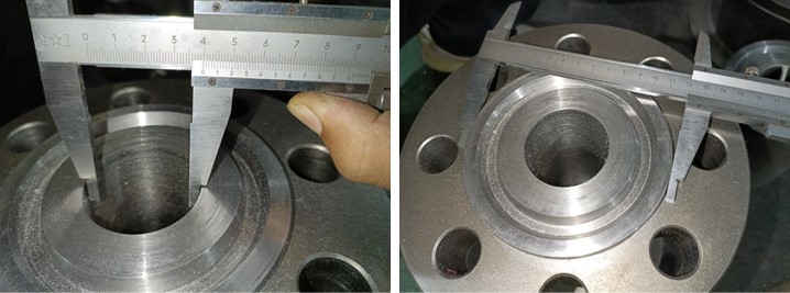 Axial Flow Check Valve