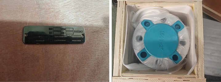 Axial Flow Check Valve