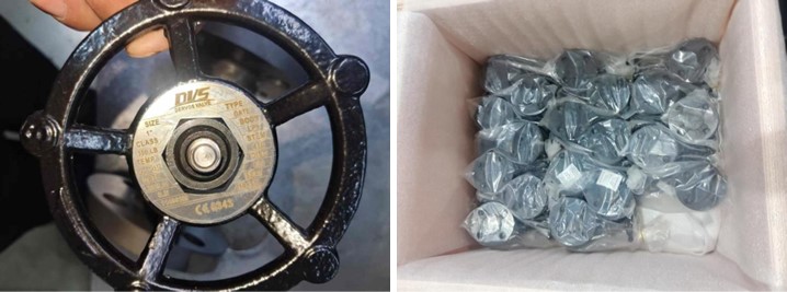 Forged Steel Gate Valve