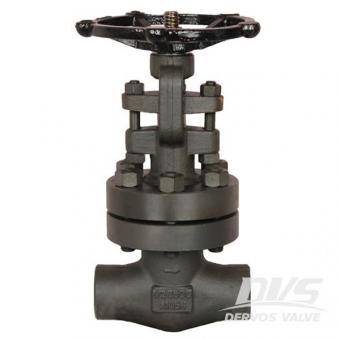 Bolted Bonnet Forged Gate Valve