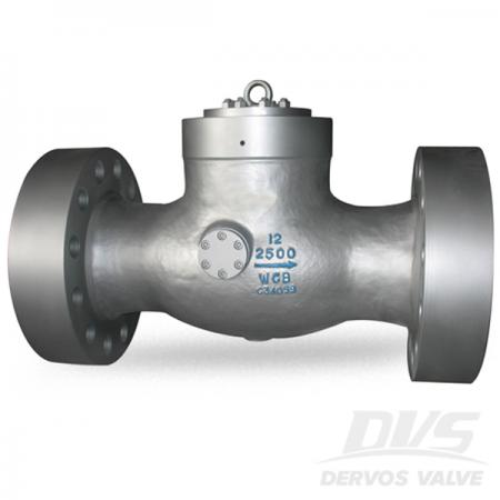 2500LB High Pressure Non Return Valve