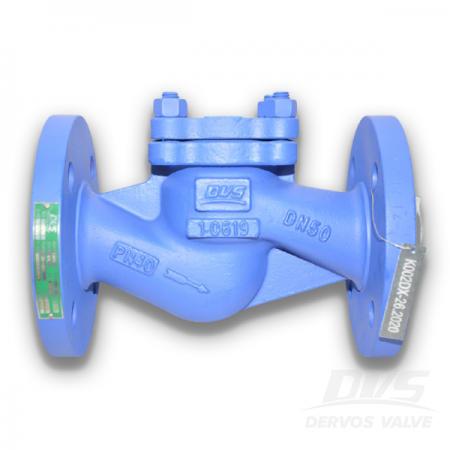 Lift Check Valves