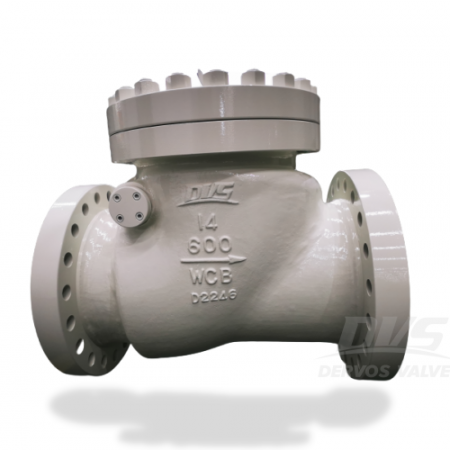 Swing Check Valve