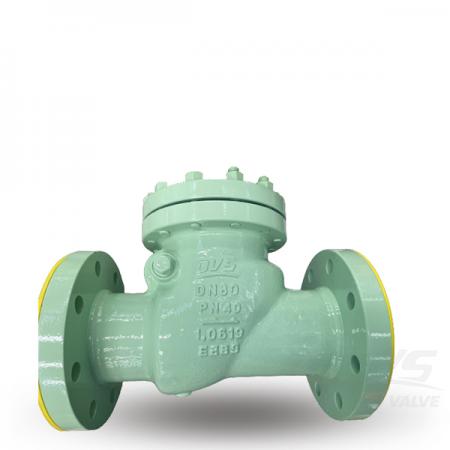 Swing Check Valve