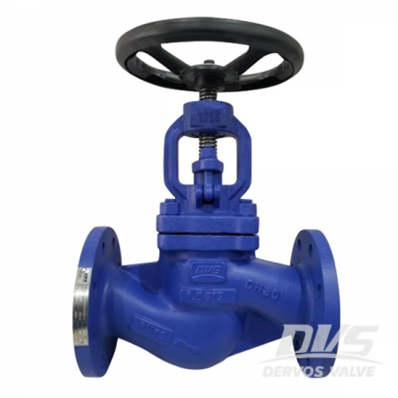 Globe Valve EN10213