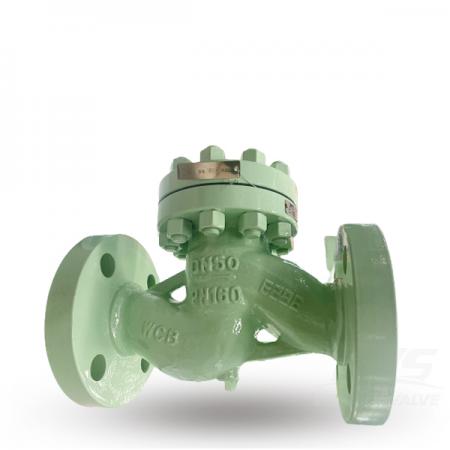 Lift Check Valve