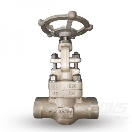 Globe Valve