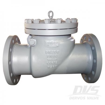 Check Valve