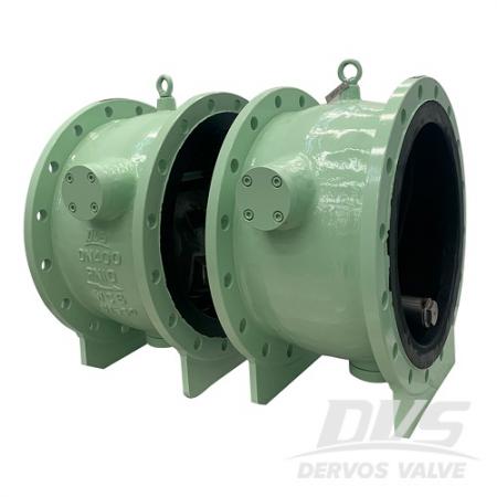 Check Valve