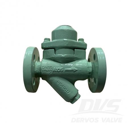 Steam Trap Valve