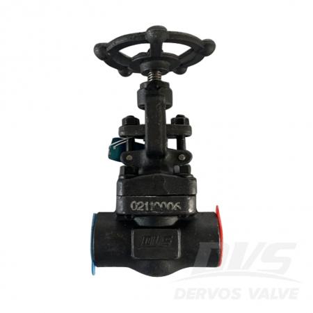Globe Valve