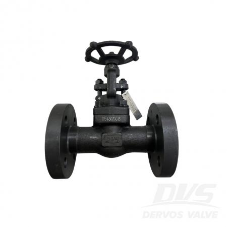 Globe Valve