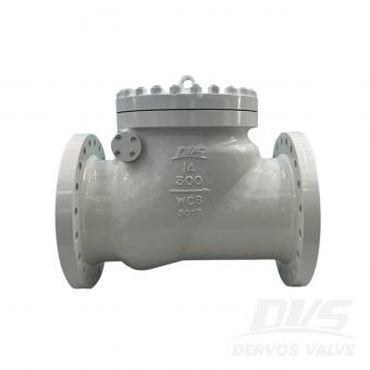 Swing Check Valve