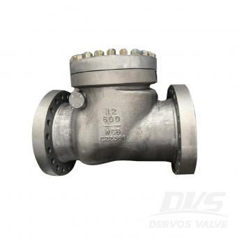 Swing Check Valve