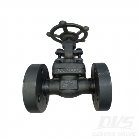 DN15 PN63 Forged Steel Globe Valve A105N+STL