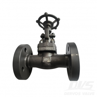 DN25 PN63 Forged Steel Globe Valve