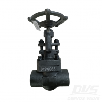 Forged Steel Globe Valve
