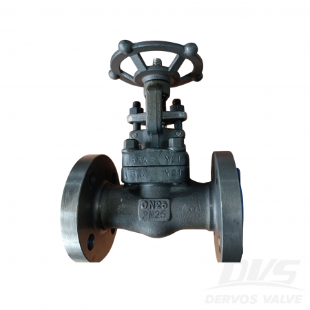 Forged Steel Globe Valve